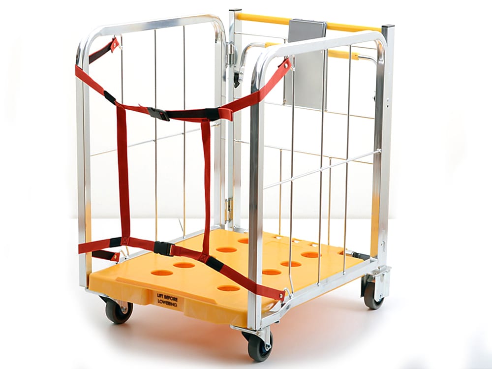 Mobile packet sort container with straps